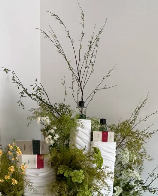 Selvatico Pop-up Seongsu #5