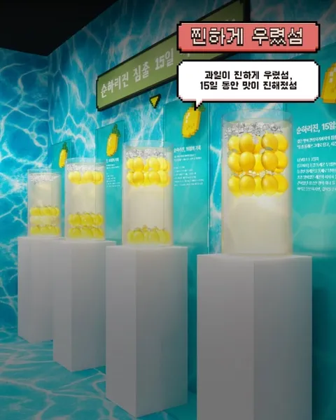 Soonhari Jjin Island Pop-up Seongsu #4
